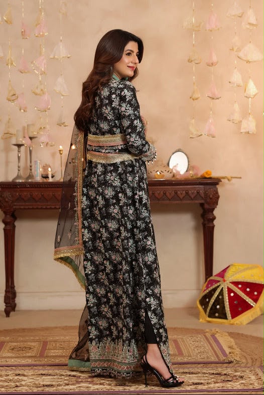 Aneela Silk Fancy