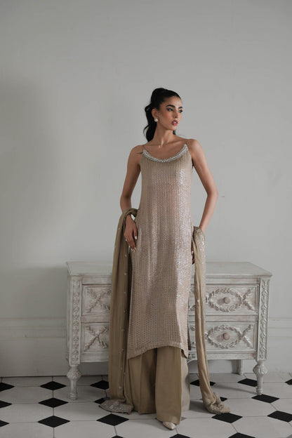 Zaib Chiffon Fancy
