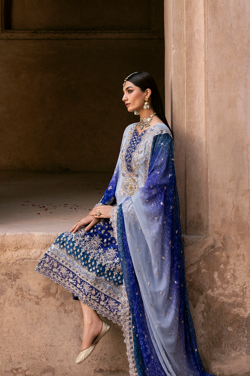 Emaan Adeel Chiffon Fancy