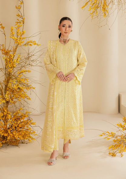 AIK Lawn Fancy