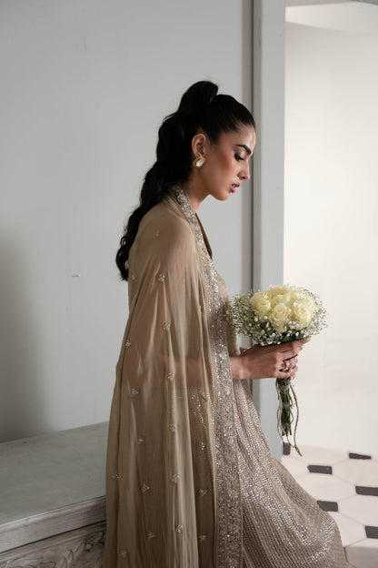 Zaib Chiffon Fancy