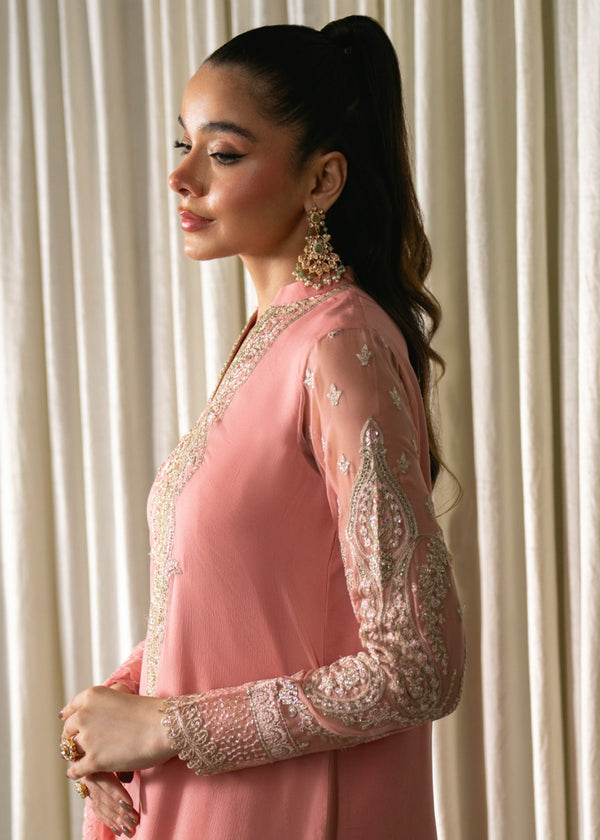 Neeshay Chiffon Fancy