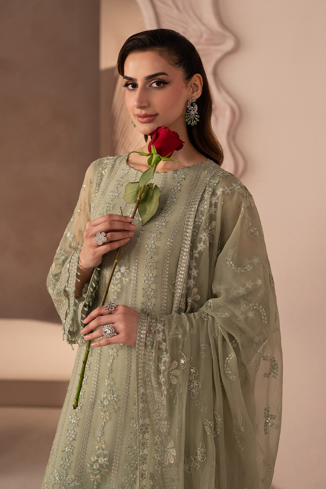 Lavish Chiffon Fancy