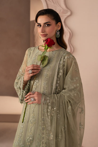 Lavish Chiffon Fancy