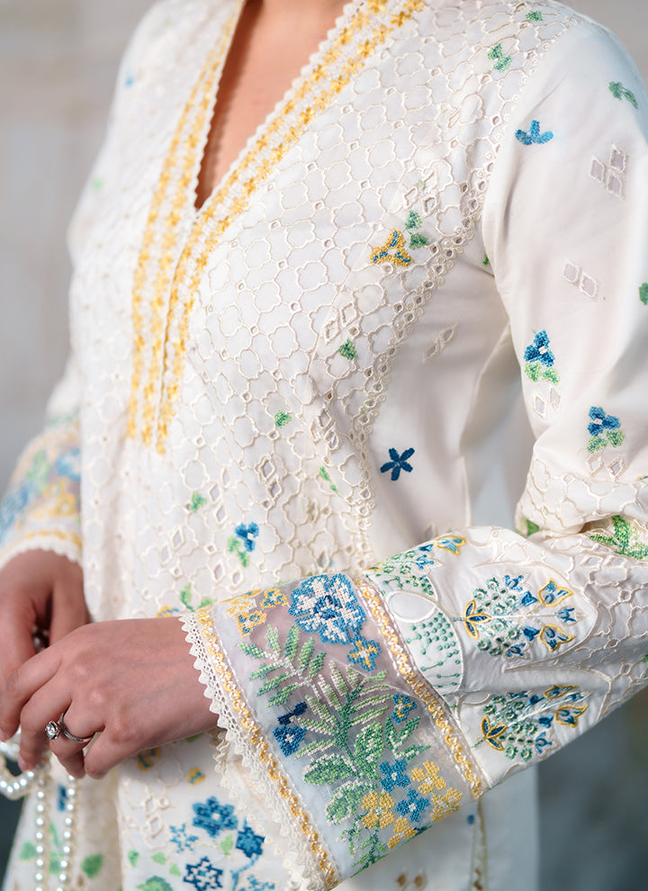 Neeshay Lawn Fancy
