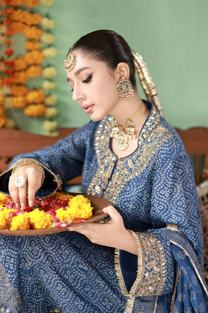 Ansab Jahangir Lawn Fancy