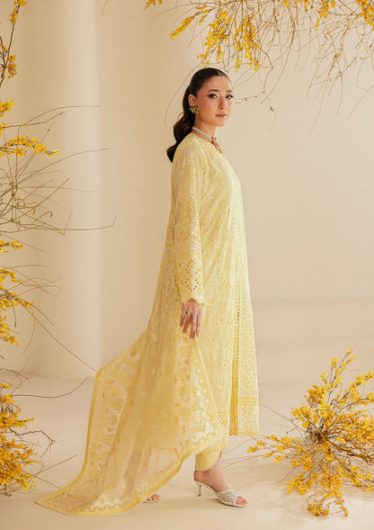 AIK Lawn Fancy
