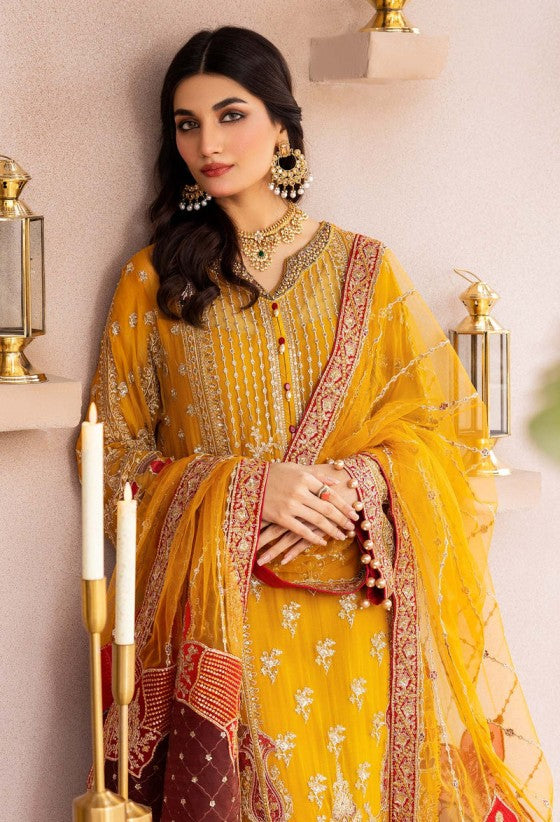 Adan Libas Chiffon Fancy