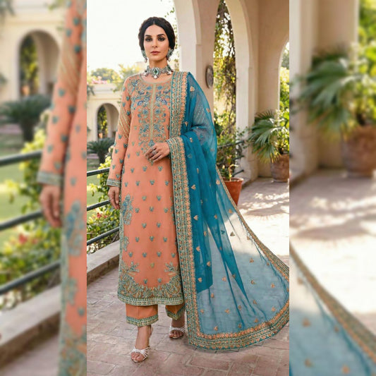 Akbar Aslam Organza Fancy