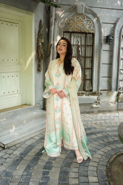 Aneela Silk Fancy