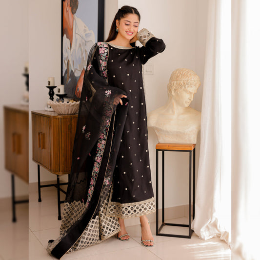 Aneela Silk Fancy