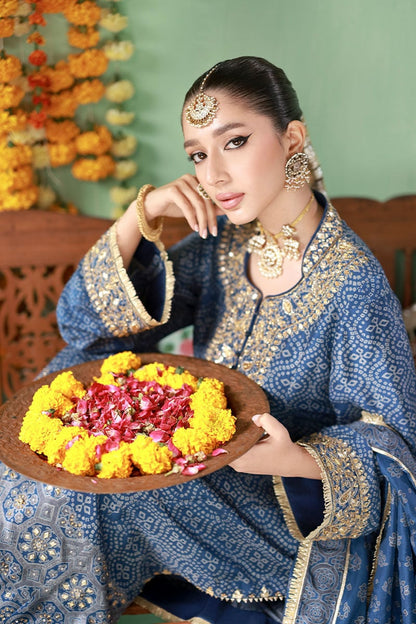 Ansab Jahangir Lawn Fancy