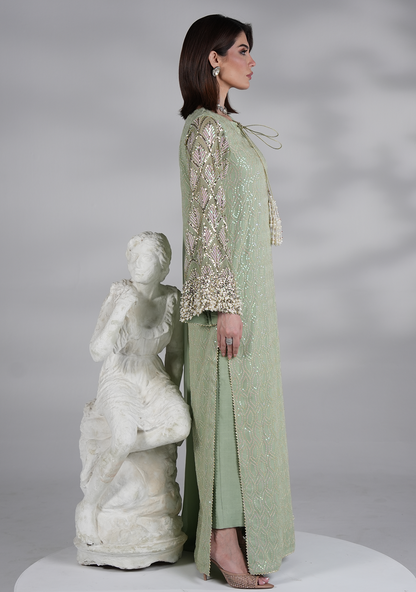 Amave Chiffon Fancy