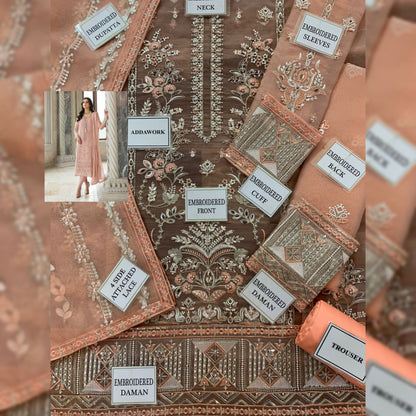 Gulaal Organza Fancy
