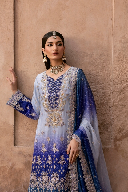 Emaan Adeel Chiffon Fancy
