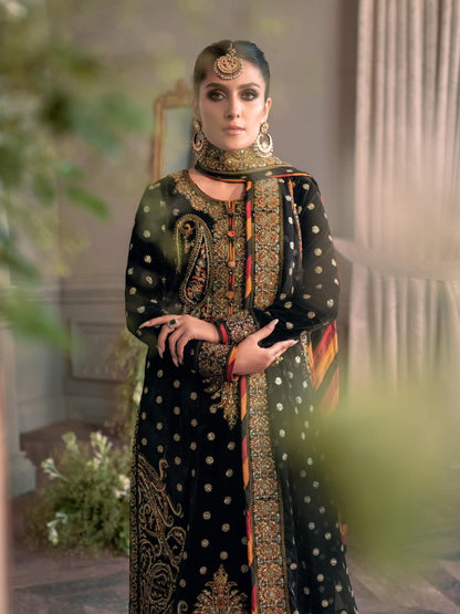 Asim Jofa Velvet Fancy