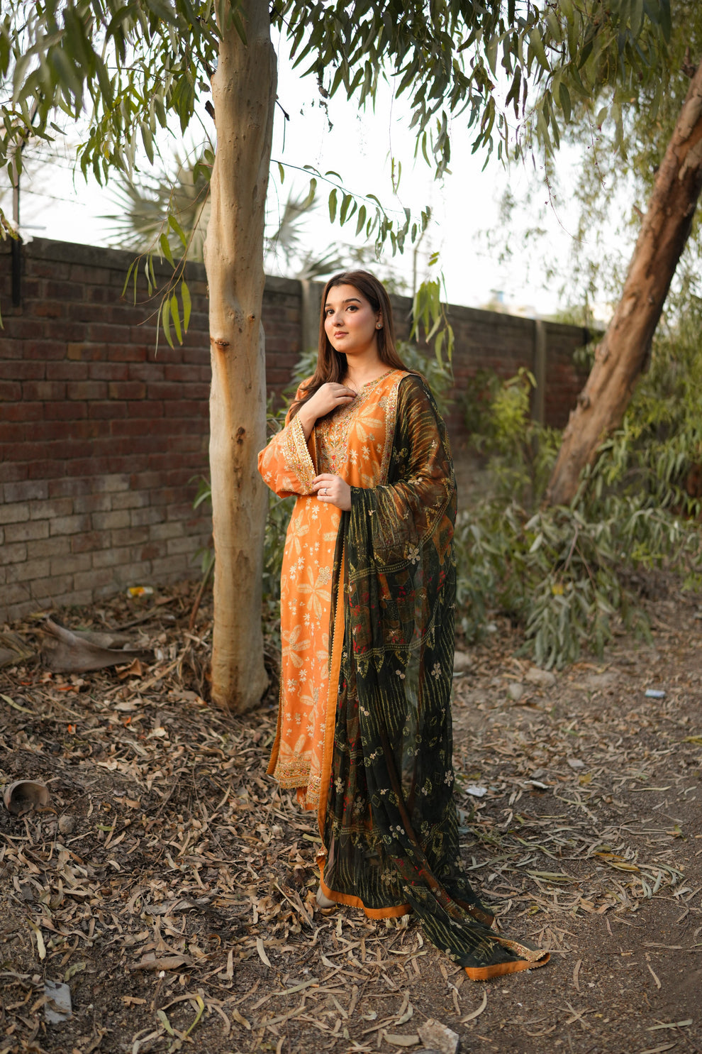 Aneela Lawn Fancy