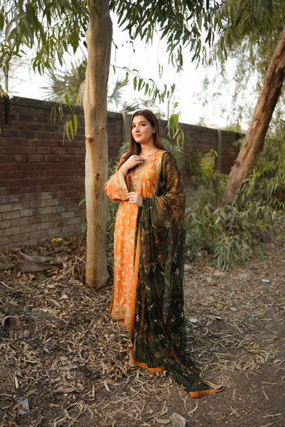 Aneela Lawn Fancy