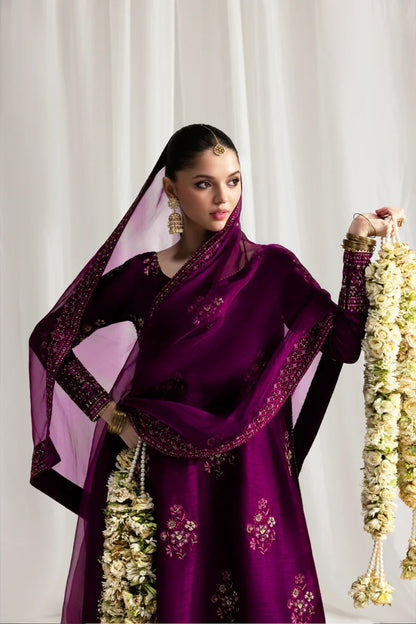 Zaib Silk Fancy